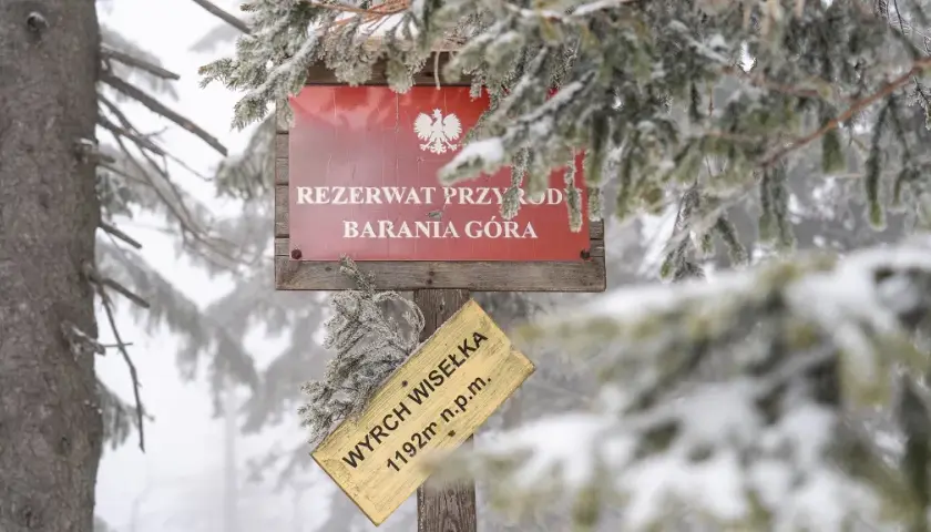 Jaki szlak na Baranią Górę? Odkryj najłatwiejsze trasy i porady
