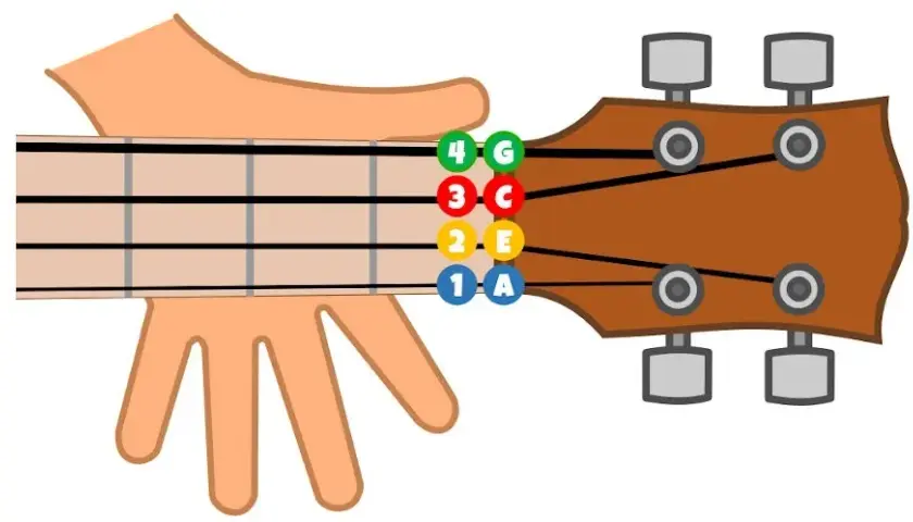Jakie są struny w ukulele i jak je prawidłowo nastroić?