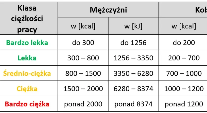 Jak obliczyć wydatek energetyczny i skutecznie kontrolować wagę ciała