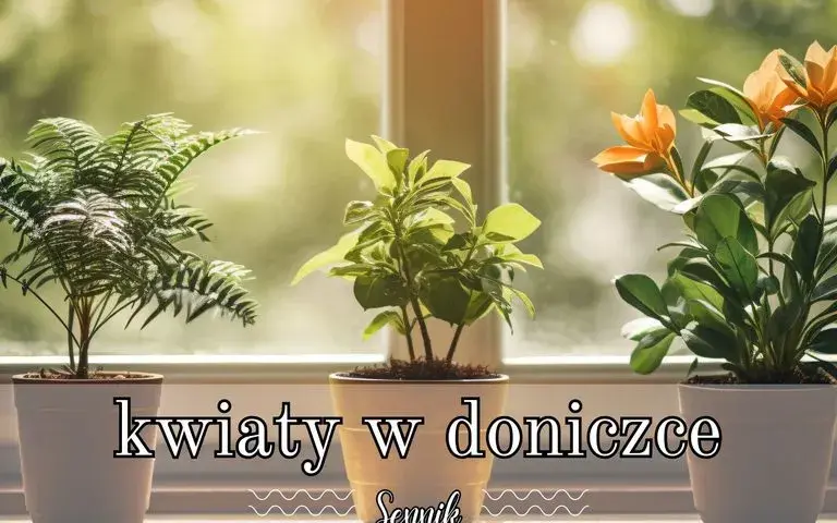 Co oznaczają zielone kwiaty doniczkowe w senniku - pełna interpretacja snu