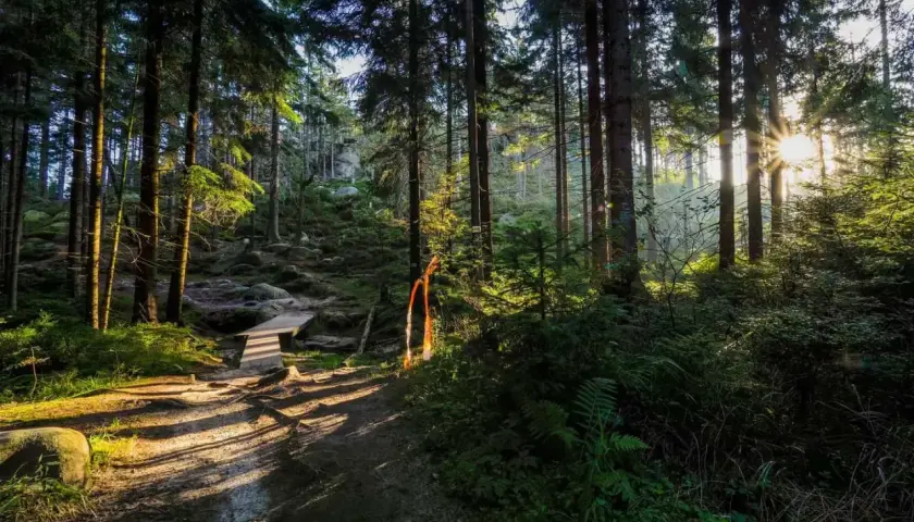 Najciekawsze atrakcje Gór Stołowych, które musisz zobaczyć