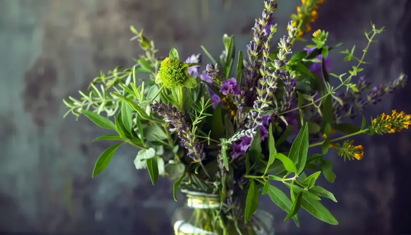 Jak stworzyć piękny i aromatyczny bukiet z ziół? Poradnik DIY
