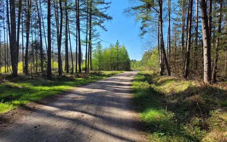 Trasy rowerowe Koszalin: Odkryj najlepsze szlaki i uniknij nudy