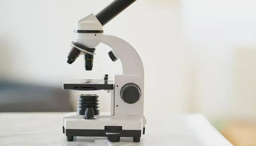 Kto wynalazł mikroskop? Zaskakujące fakty o jego twórcach