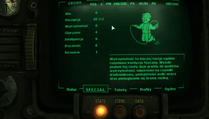 Spolszczenie Fallout 3: Jak bez problemu dodać polski dubbing do kultowej gry