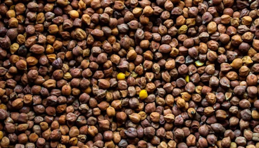 Grain na gram: precyzyjna konwersja jednostek masy dla Ciebie