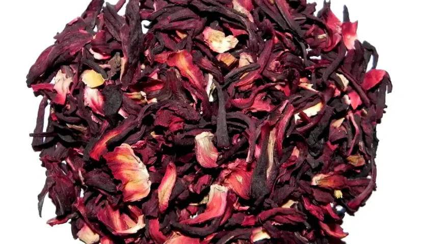 Jaki hibiskus wybrać na aromatyczną herbatę - wszystko co musisz wiedzieć