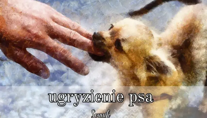 Sennik: Ugryzienie psa w rękę - poznaj ukryte znaczenie ostrzegawczego snu