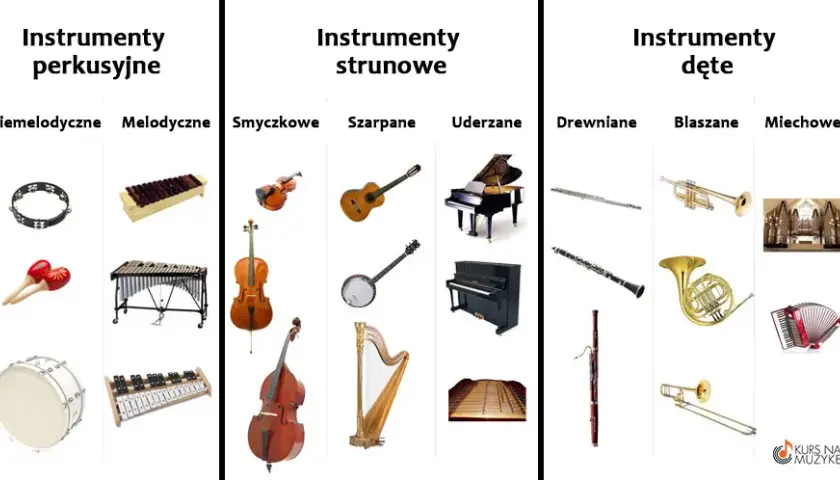 Podział instrumentów muzycznych i rodzaje instrumentów