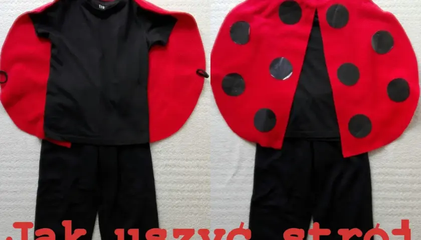 Jak stworzyć strój biedronki DIY, który zachwyci każde dziecko