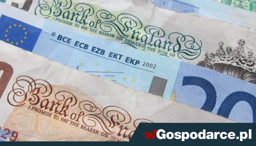 Czy NBP udziela kredytów? Prawda o roli banku centralnego w Polsce
