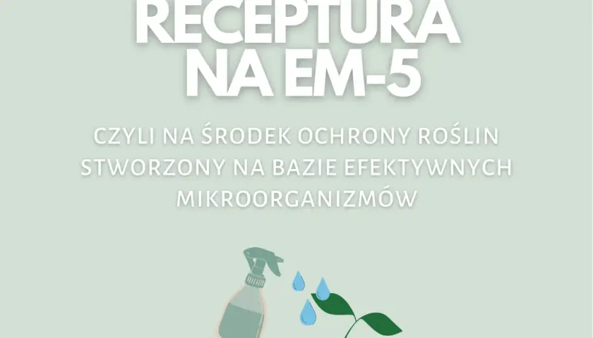 Jak samemu zrobić efektywne mikroorganizmy i poprawić plony w ogrodzie