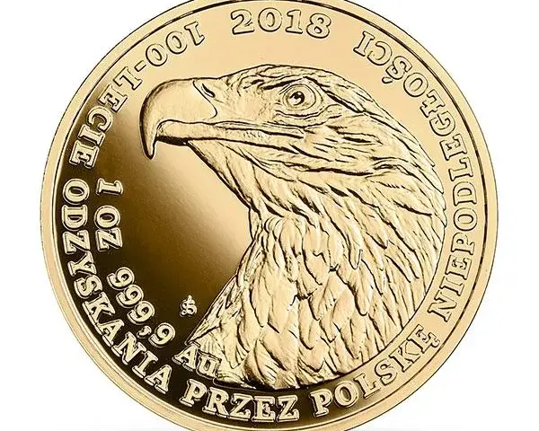 Czy złote monety NBP to dobra inwestycja? Wady, korzyści i porady dla początkujących
