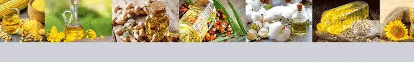 Aceite de maíz para freír: beneficios y secretos que no conocías
