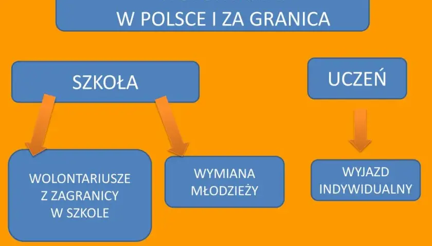 Jakie formy wolontariatu warto znać? Odkryj różnorodność możliwości