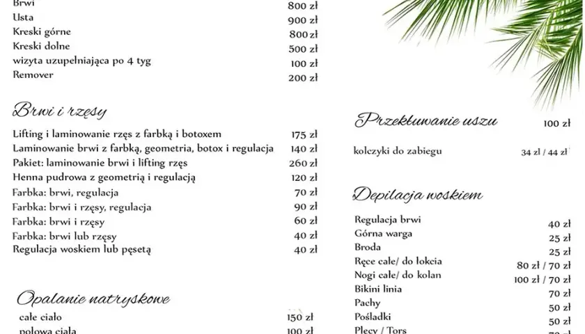 Regeneracja brwi: skuteczne metody i koszty wszystkich zabiegów w salonie