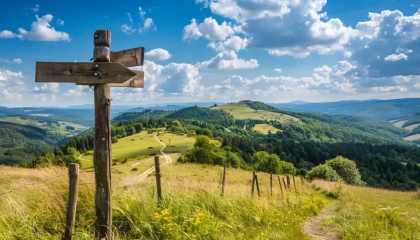 Co można zwiedzić na Podkarpaciu? 8 ukrytych perełek regionu