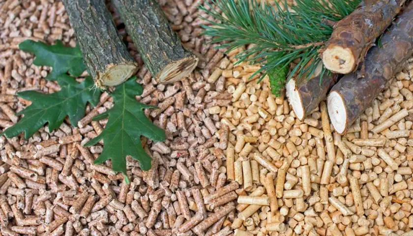 Pellet iglasty czy liściasty – który wybór zapewni lepsze ciepło?