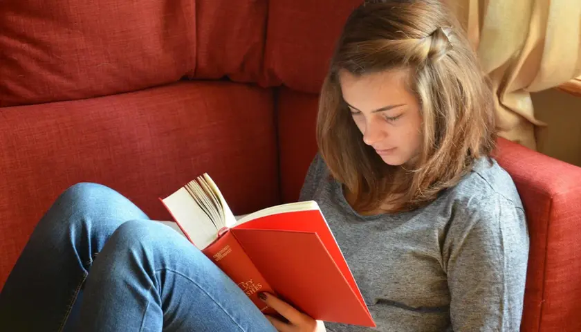 $YA$ na Serio: Dlaczego literatura Young Adult to już nie tylko rozrywka, ale ważny głos w dyskusji o problemach młodych?