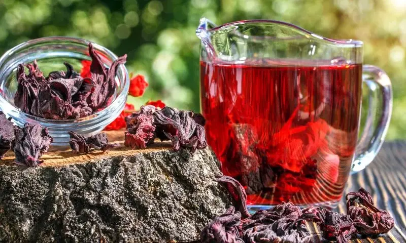 Domowa herbata z hibiskusa - prosty przepis na orzeźwiający napój krok po kroku