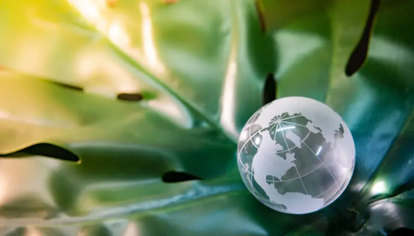 Najnowsze trendy w szkoleniach z ochrony środowiska: jak być na bieżąco z przepisami esg
