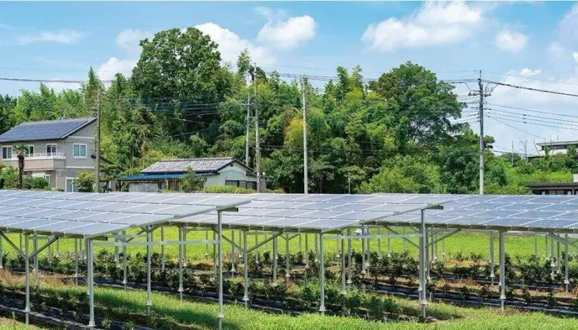 Jakie korzyści oferuje agrofotowoltaika dla rolnictwa i energetyki