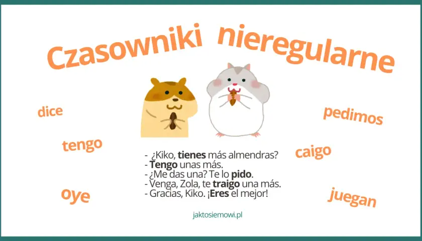 Odmiana czasownika dormir: jak opanować nieregularne formy?