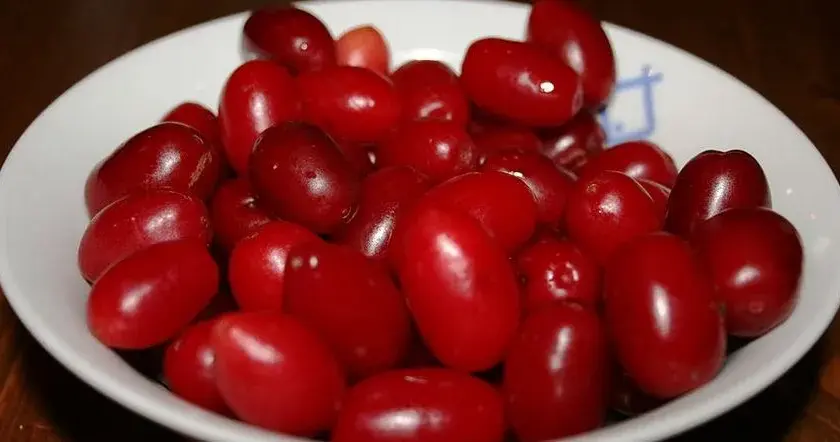 Nalewka z derenia na co pomaga - poznaj jej niezwykłe właściwości zdrowotne