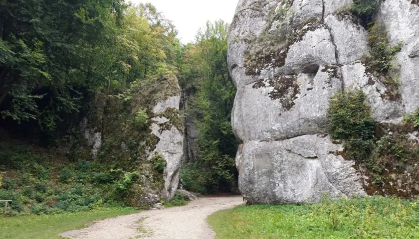 Kamieniołomy i skalne wąwozy, otoczone bujną zielenią, tworzą malownicze krajobrazy. To właśnie takie miejsca sprawiają, że lasy w Krakowie są tak wyjątkowe.