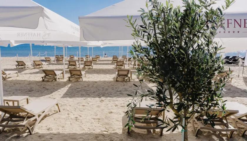 Piękna plaża w Sopocie z leżakami i parasolami, idealne miejsce na relaks i atrakcje dla dzieci.