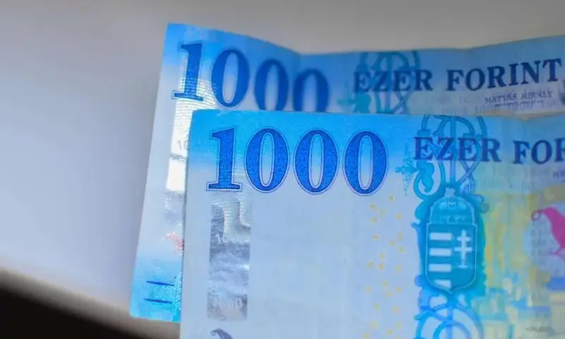 Jaka waluta obowiązuje na Węgrzech? Wszystko o forincie węgierskim i wymianie