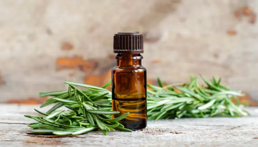 Aceite esencial de romero para el pelo, con ramitas frescas de romero sobre madera rústica.