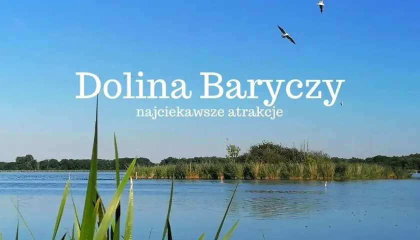 Spokojna tafla wody, trzciny i dwa ptaki w locie nad Doliną Baryczy.