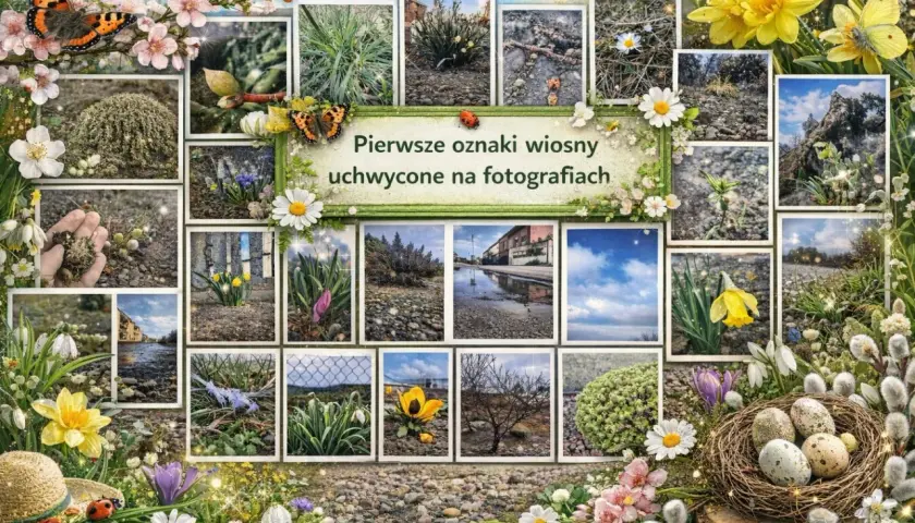 Kolaż zdjęć z pierwszymi oznakami wiosny: kwiaty, motyle, pisanki, bazie.