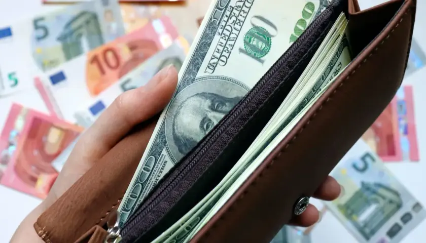 Dłoń trzyma brązowy portfel z banknotami dolarowymi. W tle widać euro. Czy warto inwestować w dolary?