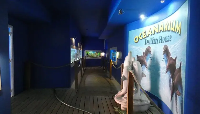 Oceanarium Łeba – fascynujący świat morskich stworzeń i edukacji
