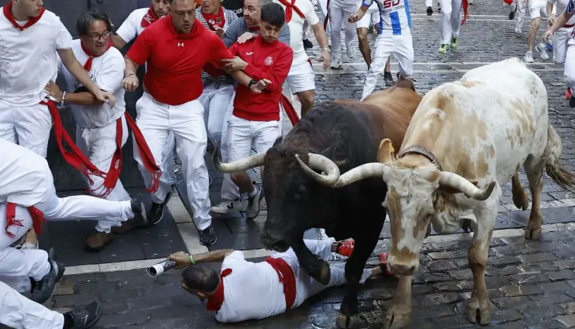 Hombres vestidos de blanco corren junto a toros de la ganadería Gregorio Garzón. Uno cae al suelo.