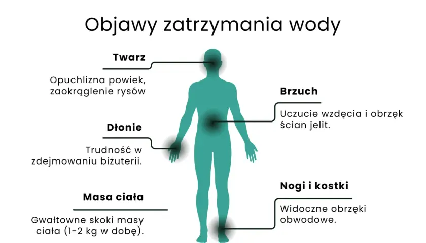 Ilustracja przedstawia sylwetkę człowieka z zaznaczonymi obszarami zatrzymania wody: twarz, dłonie, brzuch, nogi i kostki, oraz masa ciała.