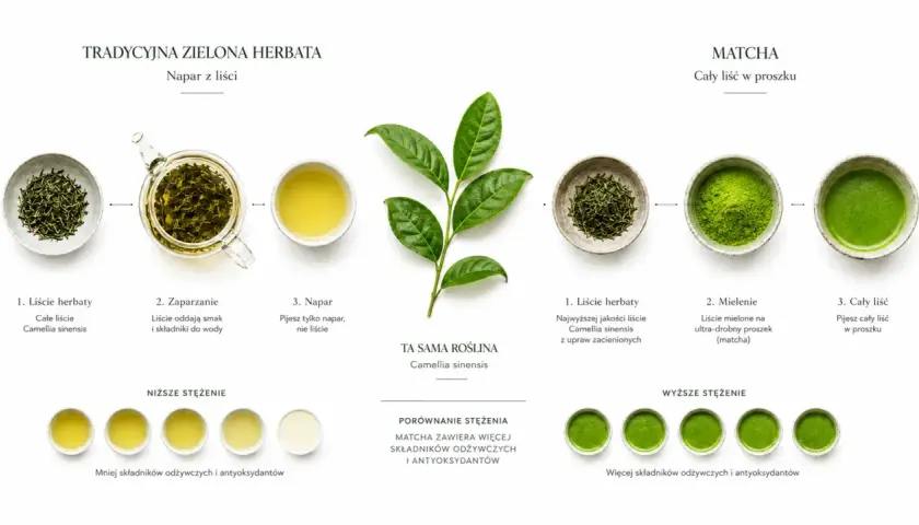 Porównanie tradycyjnej zielonej herbaty i matchy. Czy matcha jest zdrowa? Tak, zawiera więcej składników odżywczych i antyoksydantów.