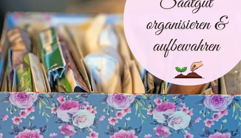Blumige Box mit Saatgutpäckchen, perfekt zum **samen aufbewahren** und organisieren für die nächste Gartensaison.