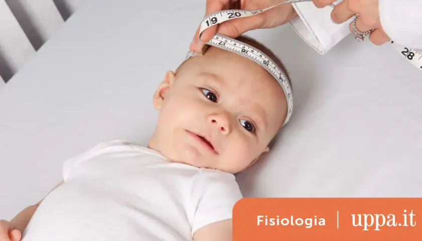 Misurazione della circonferenza cranica di un neonato, utile per la tabella peso altezza età bambini.