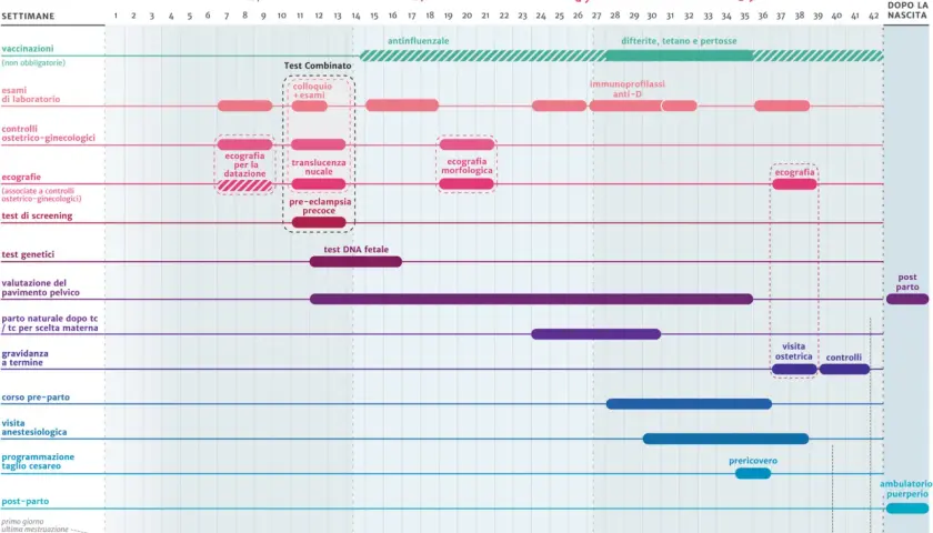Il calendario gravidanza mostra le tappe fondamentali, dagli esami alle ecografie, fino al parto.