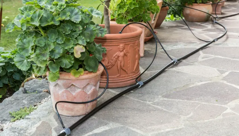 Pflanzen in Terrakotta-Töpfen werden von einem Bewässerungssystem versorgt. Ein schwarzer Schlauch schlängelt sich über die Steinplatten und versorgt die grünen Geranien.