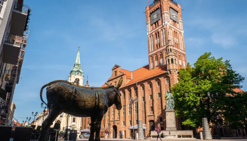 Pomnik osiołka na Rynku Staromiejskim w Toruniu, z Ratuszem i kościołem w tle. Jedna z wielu toruńskich atrakcji.