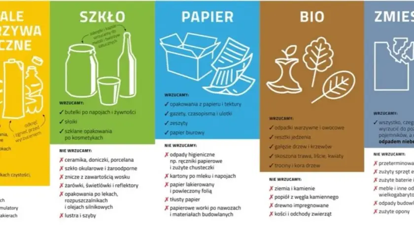 Jak prawidłowo wyrzucić opakowanie po lekach? Poradnik segregacji