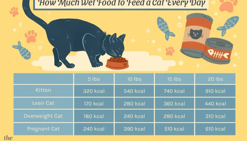Chart shows how much wet food to feed a cat daily based on weight and life stage, from kittens to pregnant cats.