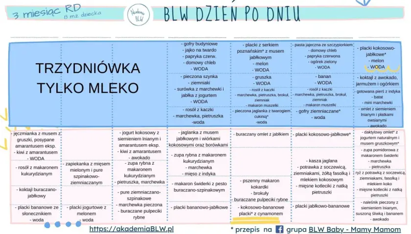 Co może jeść 8 miesięczne dziecko? Lista BLW: placki bananowe, zupa rybna, koktajl buraczano-jabłkowy, omlety, kasze.