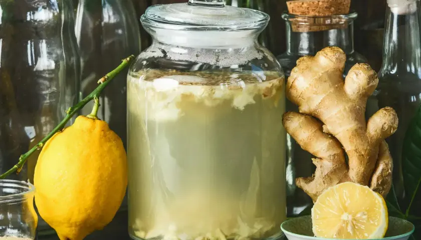 En stor glasburk med bubblande vätska, ingefära och en citron. Ingredienser för ett **ginger bug recept**.