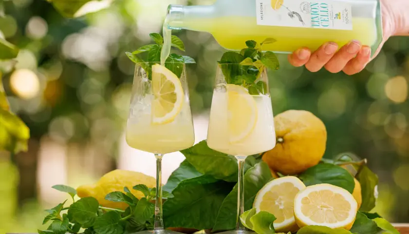 Limoncello wird in Gläser mit Eis, Zitronenscheiben und Minze gegossen. So trinkt man Limoncello am besten!