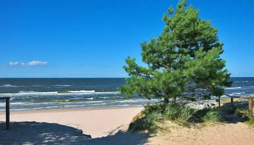 Piękny dzień na plaży w Ostrowie nad morzem. Słońce, piasek i szum fal.